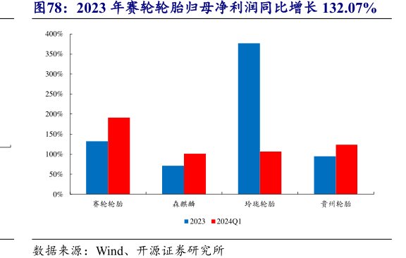 2023年<hl>赛</hl><hl>轮</hl><hl>轮</hl><hl>胎</hl>归母净利润同比增长132.07%