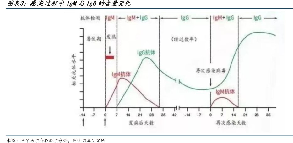 感染过程中IgM与<hl>IgG</hl>的含量变化