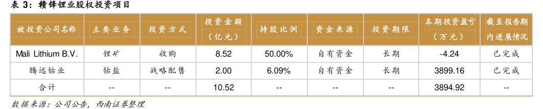 <hl>赣</hl><hl>锋</hl><hl>锂</hl><hl>业</hl>股权投资项目