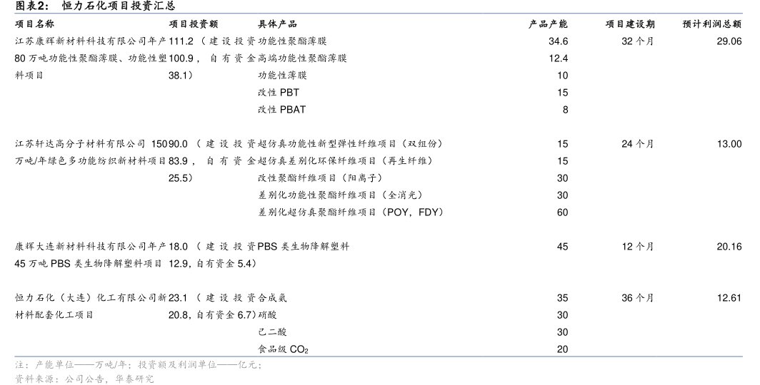 <hl>恒</hl><hl>力</hl><hl>石</hl><hl>化</hl>项目投资汇总