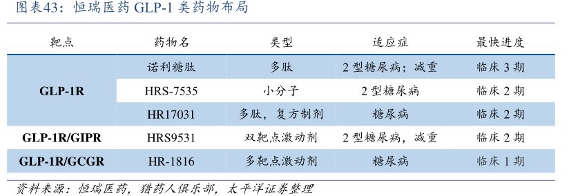 <hl>恒</hl><hl>瑞</hl><hl>医</hl><hl>药</hl>GLP-1类药物布局