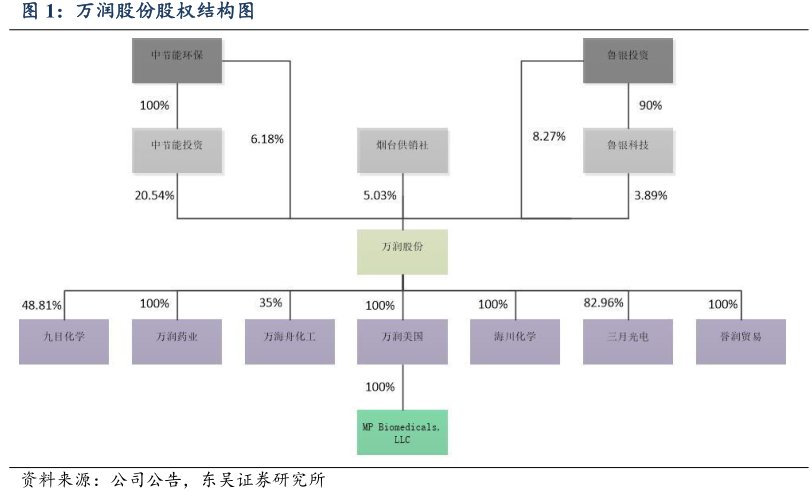 <hl>万</hl><hl>润</hl><hl>股</hl><hl>份</hl>股权结构图