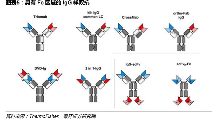 具有Fc区域癿<hl>IgG</hl>样双抗