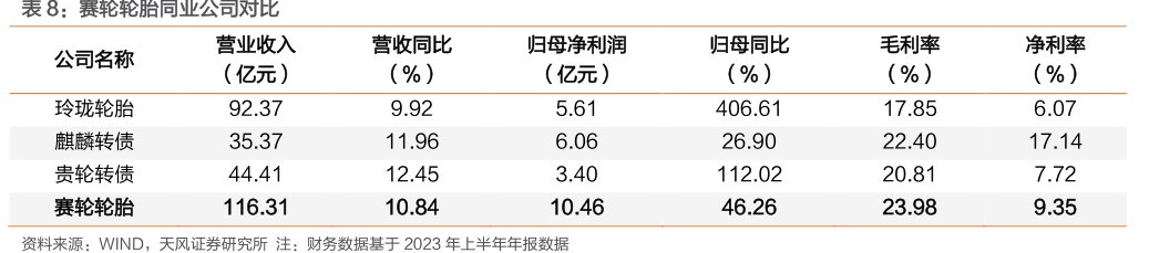 <hl>赛</hl><hl>轮</hl><hl>轮</hl><hl>胎</hl>同业公司对比