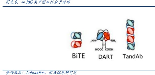 非<hl>IgG</hl>类亚型双抗分子结构