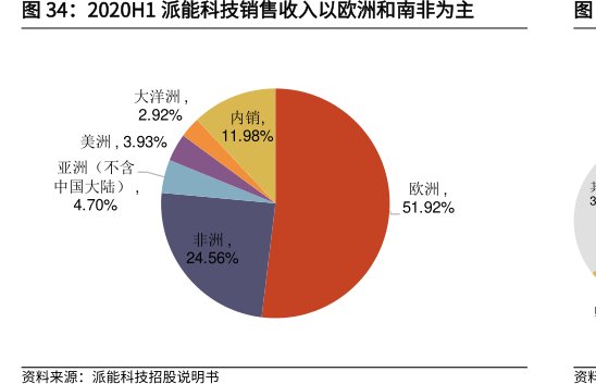 2020H1<hl>派</hl><hl>能</hl><hl>科</hl><hl>技</hl>销售收入以欧洲和南非为主