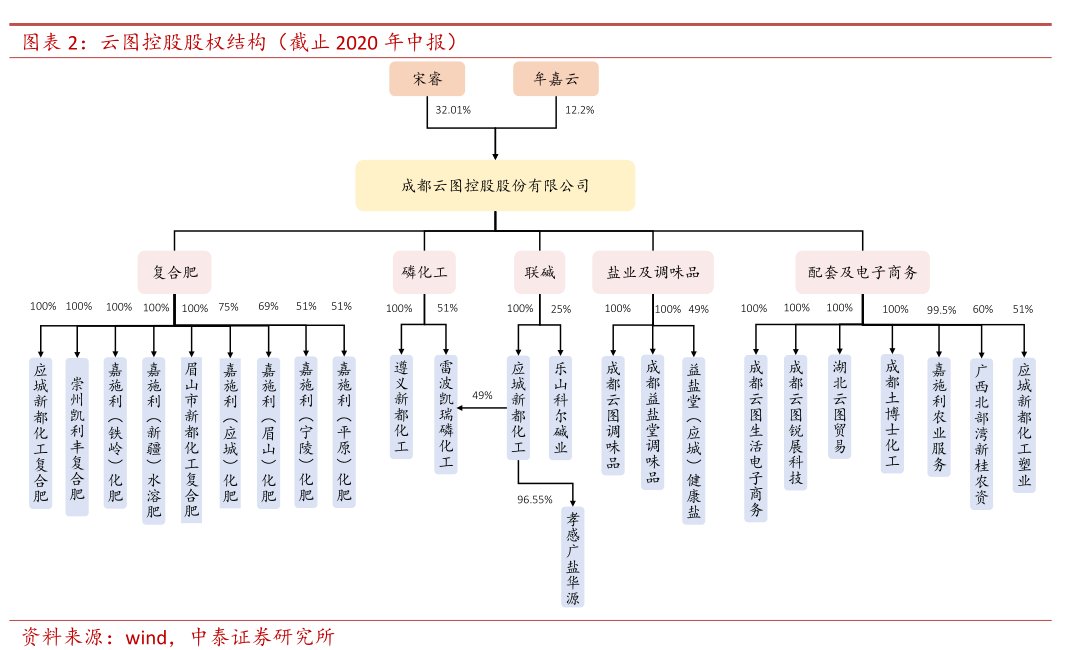 图<hl>云</hl><hl>图</hl><hl>控</hl><hl>股</hl>股权结构（截止2020年中报）