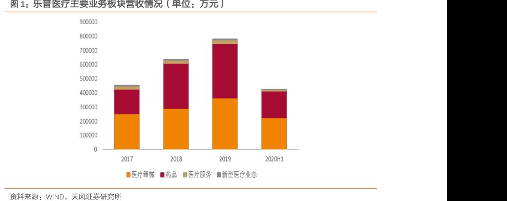 <hl>乐</hl><hl>普</hl><hl>医</hl><hl>疗</hl>主要业务板块营收情况（单位：万元）