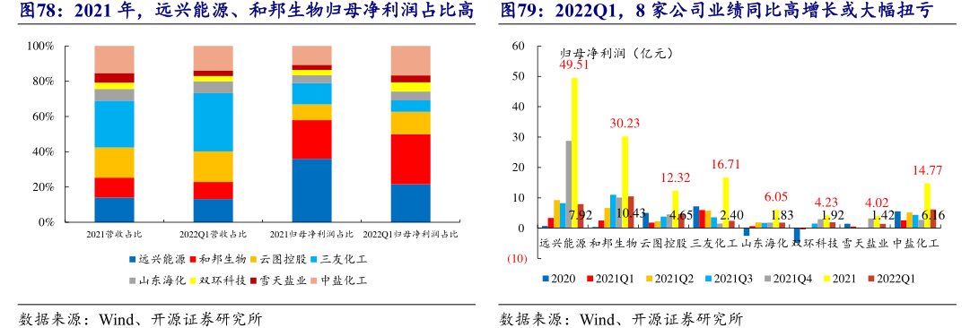 2021年，<hl>远</hl><hl>兴</hl><hl>能</hl><hl>源</hl>、和邦生物归母净利润占比高2022Q1，8家公司业绩同比高增长或大幅扭亏